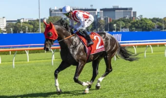 Victoria Derby 2026 Form Guide: Two Words on Each Runner