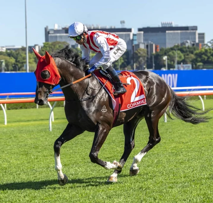 Victoria Derby 2026 Form Guide: Two Words on Each Runner