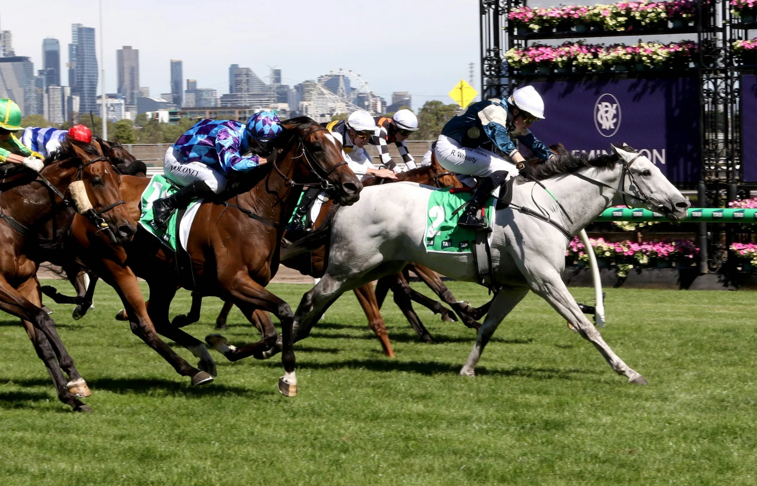 Melbourne Cup 2026 Horses: Saint George