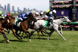 Melbourne Cup 2026 Horses: Saint George