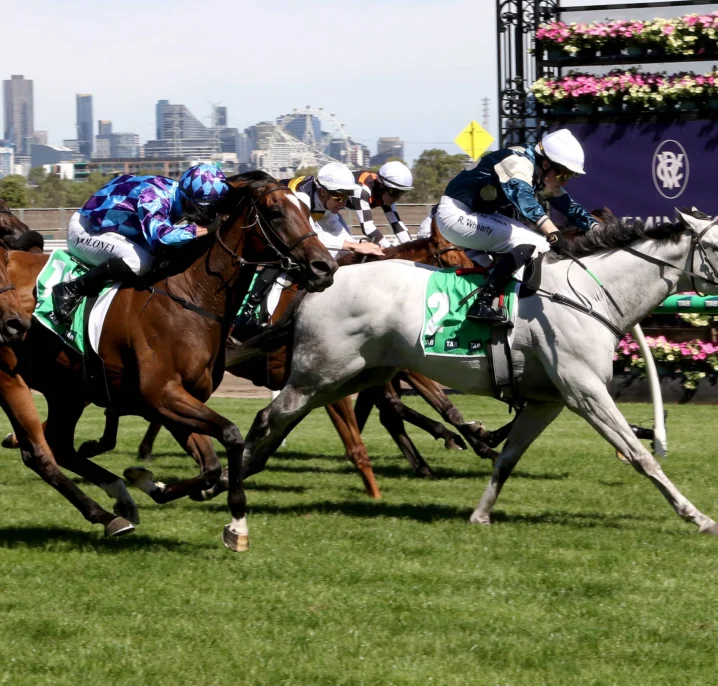 Melbourne Cup 2026 Horses List Update: Saint George Ruled Out as So You Are Secures Cup Start