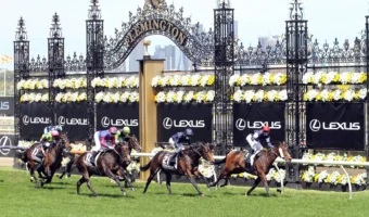 Defiantly Ruled Out of Melbourne Cup 2026: Irish Fancy Fails Vet Clearance, Kizlyar Promoted into Final Field