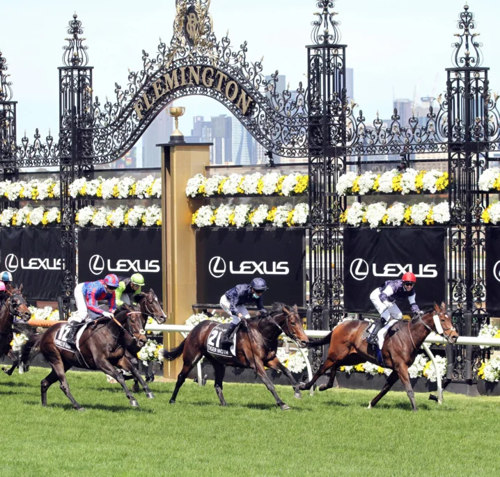 Defiantly Ruled Out of Melbourne Cup 2026: Irish Fancy Fails Vet Clearance, Kizlyar Promoted into Final Field