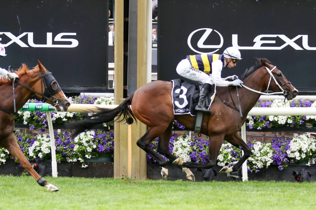 2026 Wakeful Stakes winner De Armas