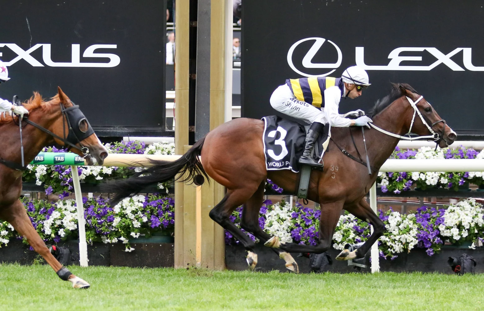 2026 Wakeful Stakes winner De Armas