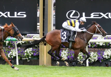 2026 Wakeful Stakes winner De Armas