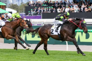 2026 The Damien Oliver winner Private Eye