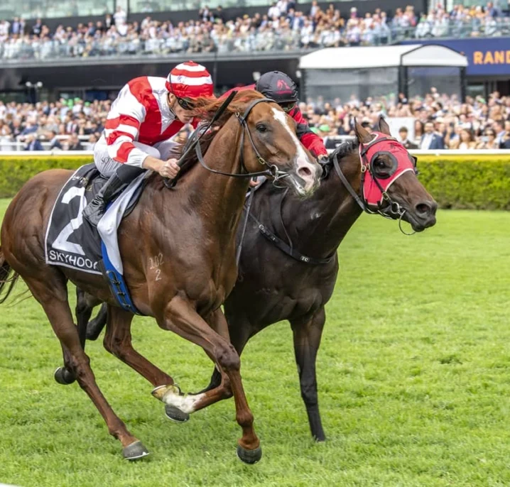 Skyhook Soars to 2026 Golden Eagle Win in Thriller, Sheza Alibi Runs 11th