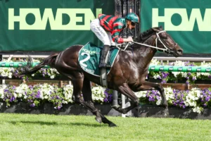 2026 Victoria Derby winner Stormy Marco
