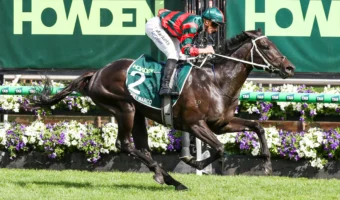 Waller Wins 2026 Victoria Derby with Stormy Marco