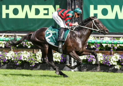 2026 Victoria Derby winner Stormy Marco