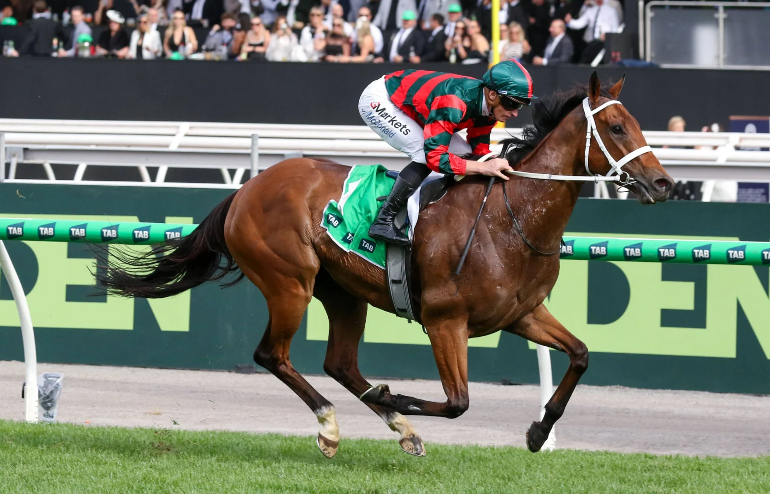 2026 Empire Rose Stakes winner Lady Shenandoah