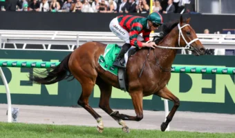 Lady Shenandoah Reigns Again with Dominant Empire Rose Stakes 2026 Victory