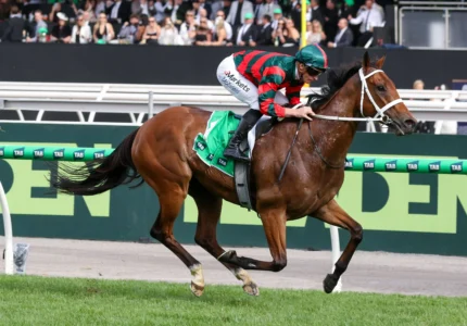 2026 Empire Rose Stakes winner Lady Shenandoah