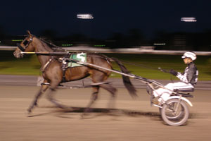Harness Racing