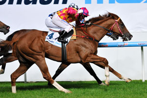 Whitefriars wins the 2011 Australia Stakes from Unde