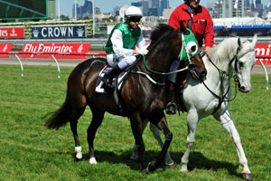 Lady Lynette will compete in the 2011 Sunline Stakes this Friday night