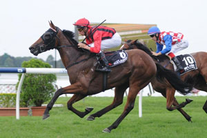 Shared Reflections Shared Reflections