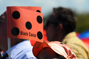 Black Caviar