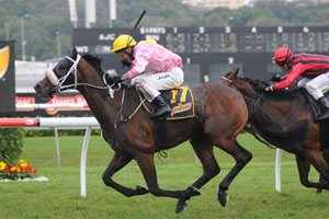 Stand To Gain Stand To Gain