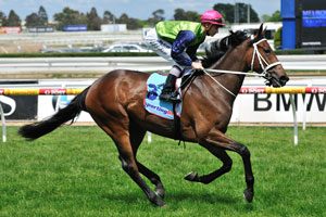 Sangster Horse Form (Photo: Taron Clarke) | Races.com.au