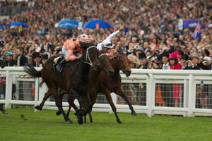 Black Caviar