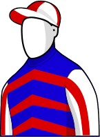 Mutual Regard 2014 Melbourne Cup Jockey Silks