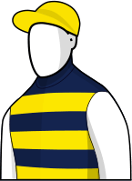 Brambles 2014 Melbourne Cup Jockey Silks