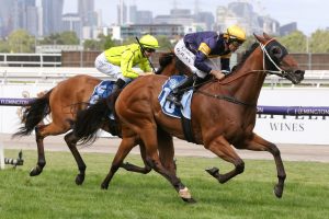 Wild Planet Horse Form (Photo: Ultimate Racing Photos) | Races.com.au