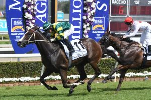 Care To Think. Photo: Steve Hart.