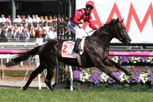 Prized Icon Horse Form (Photo: Ultimate Racing Photos) | Races.com.au