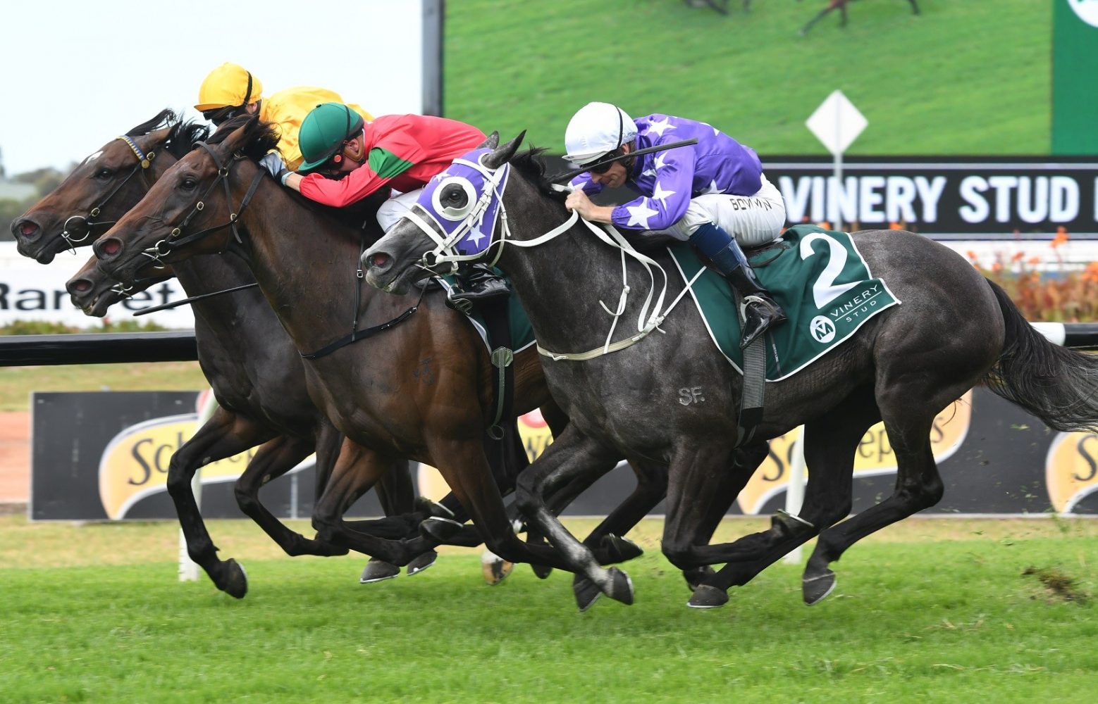 Daysee Doom (centre)