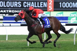 Redzel