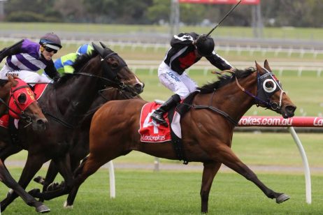 Jungle Edge Horse (Photo: Ultimate Racing Photos) - Races.com.au