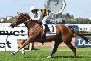 Gailo Chop Horse Form (Photo: Steve Hart) | Races.com.au