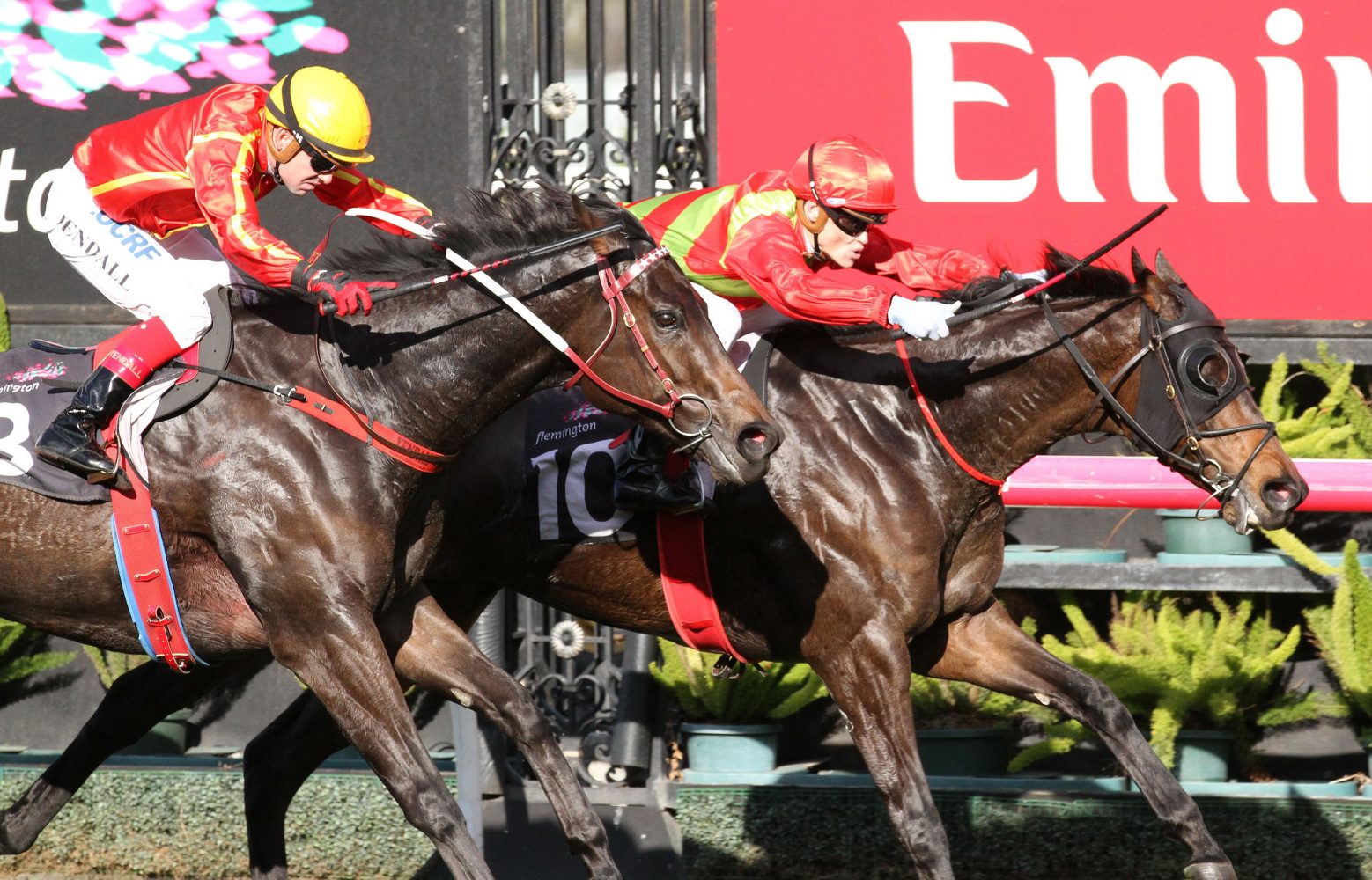 Ruettiger (inside), Voodoo Lad (outside)