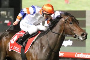 Hey Doc. Photo: Ultimate Racing Photos.