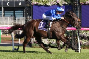 Avilius earnt his place in the Melbourne Cup with a narrow win in The Bart Cummings. Photo by: Ultimate Racing Photos