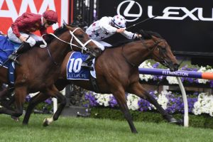 Sunlight, above, will line up in the 2019 Black Caviar Lightning at Flemington. Photo by Steve Hart.