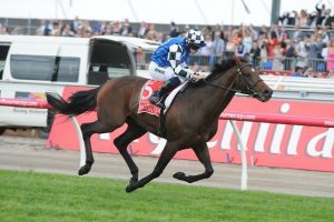 Protectionist. Photo: Steve Hart.