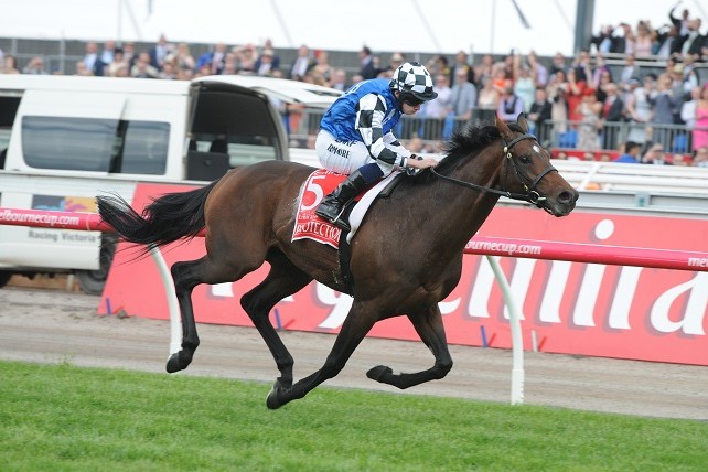 Protectionist. Photo: Steve Hart.