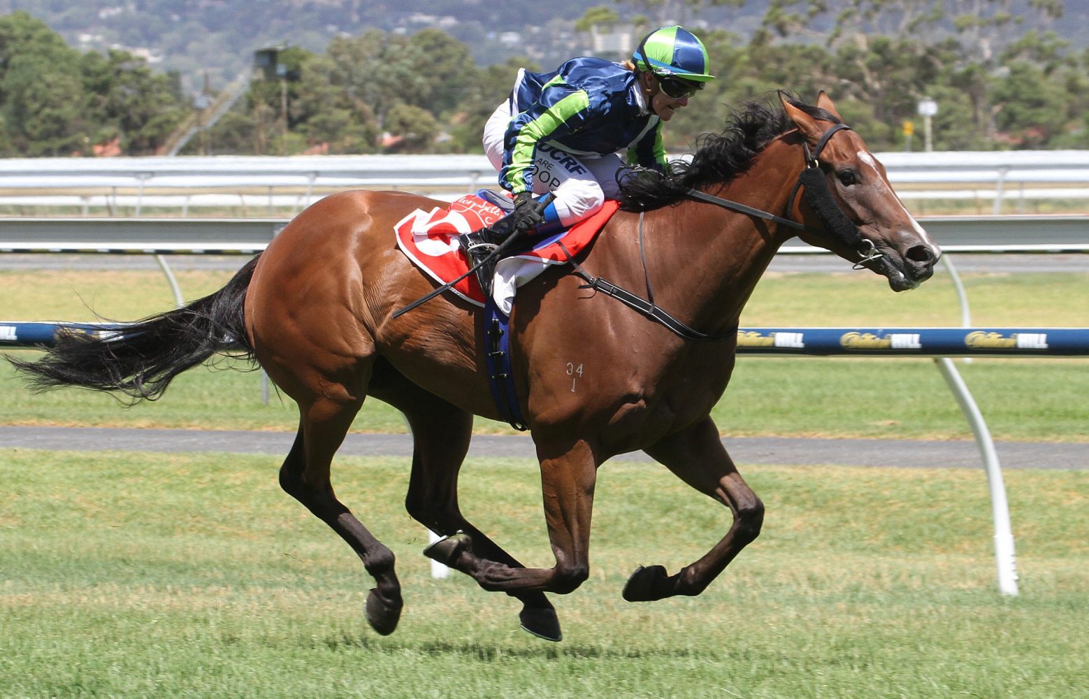 Lotion. Photo: Jenny Barnes.