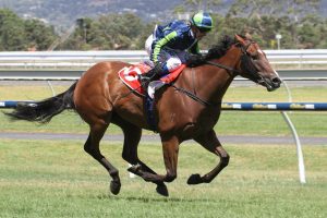 Lotion. Photo: Jenny Barnes.