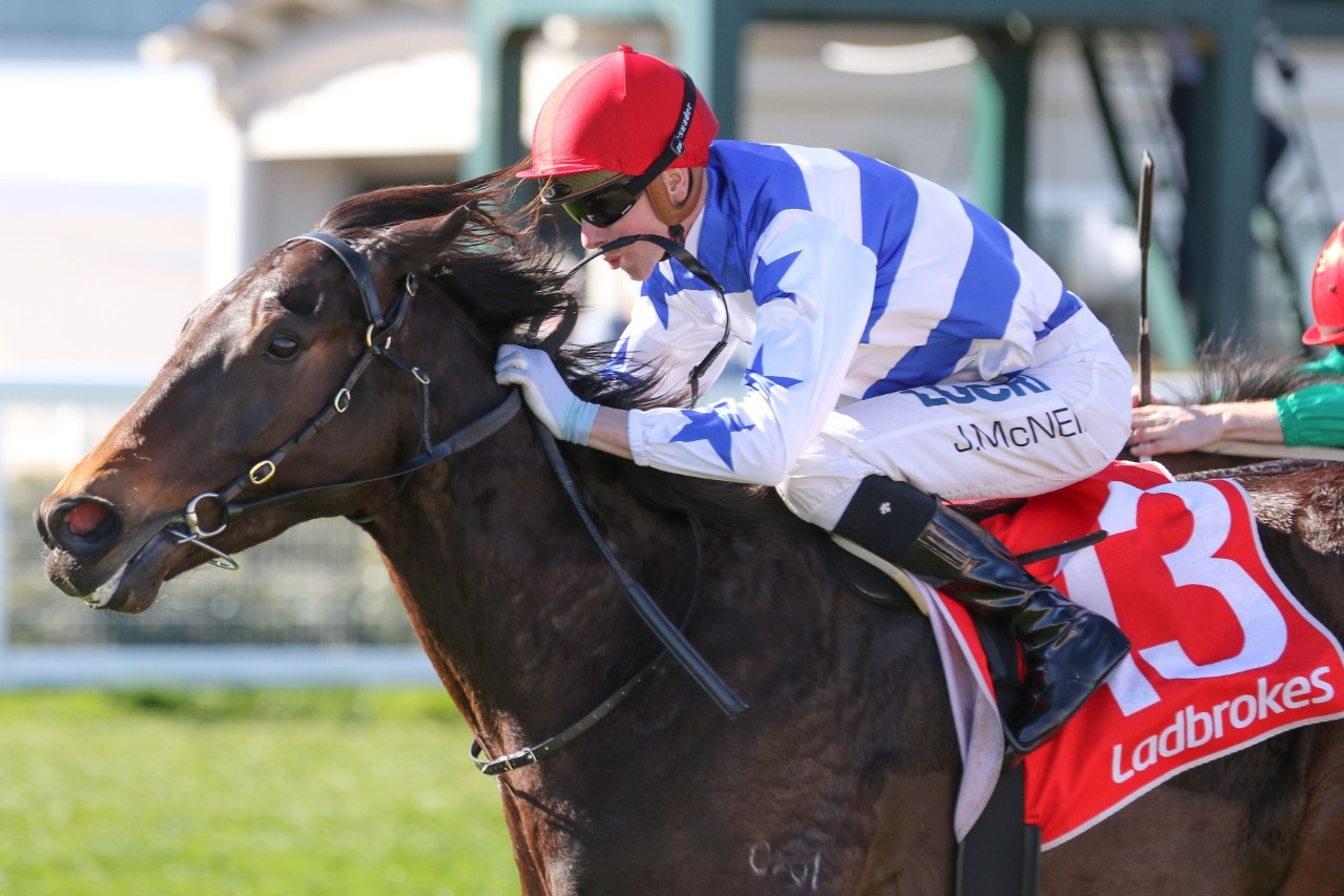 Super Titus. Photo: Ultimate Racing Photos.