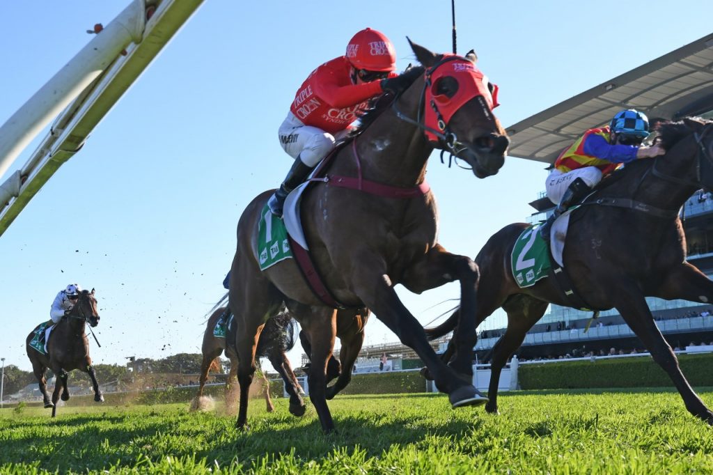 Past The Everest winners & results: Redzel