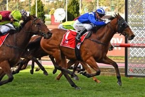 Faatinah. Photo: Ultimate Racing Photos.