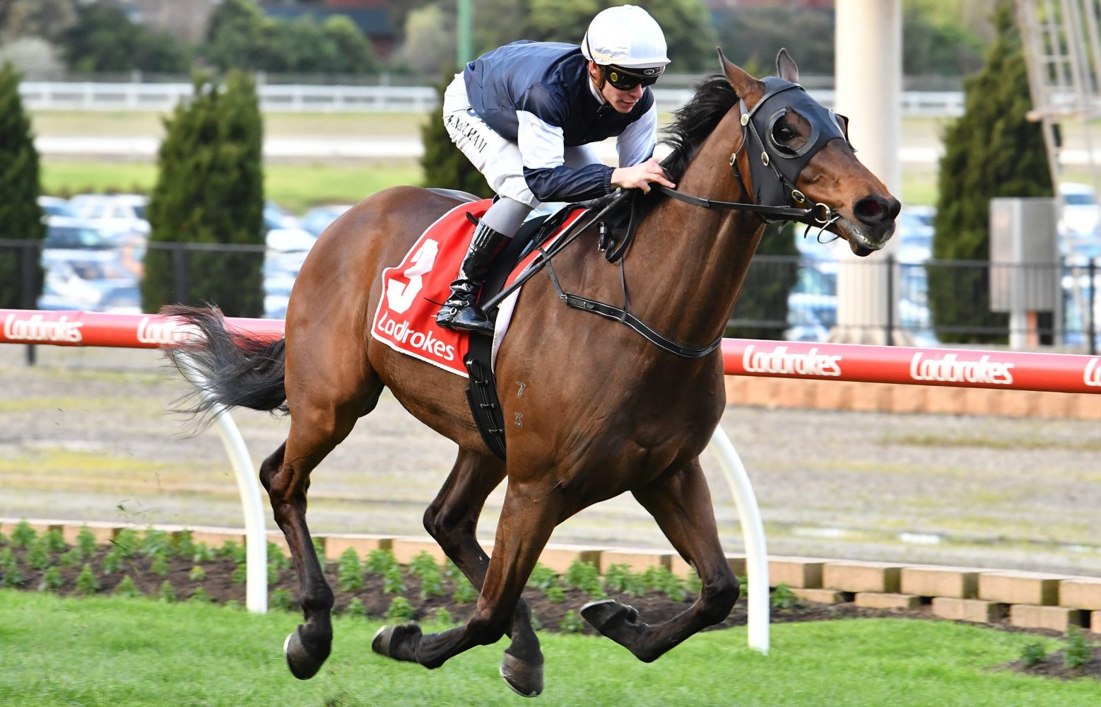 Homesman. Photo: Ultimate Racing Photos.