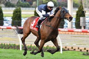 Homesman. Photo: Ultimate Racing Photos.