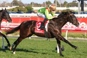 Begood Toya Mother. Photo: Ultimate Racing Photos.