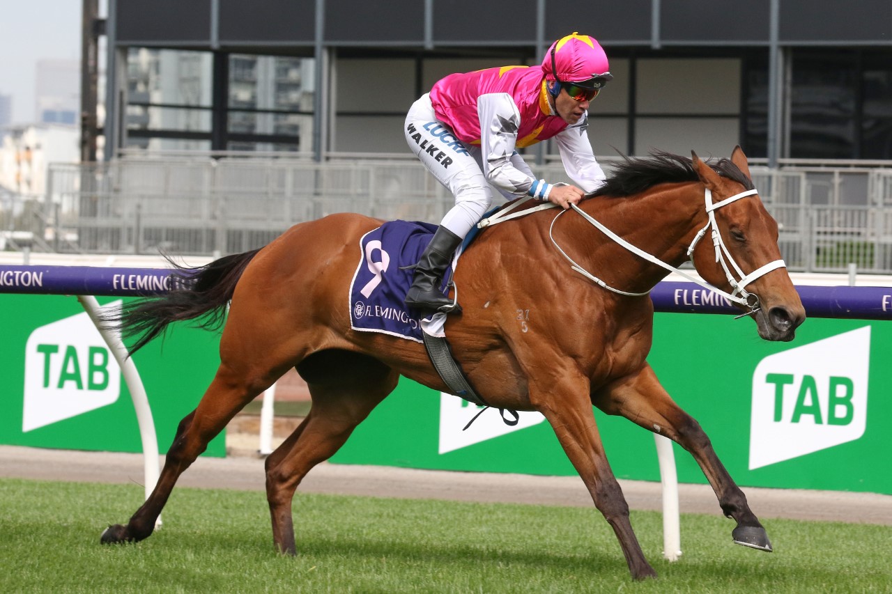 Haut Brion Her Horse Form (Photo: Ultimate Racing Photos) | Races.com.au